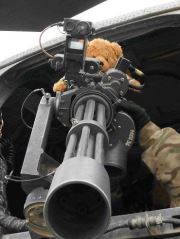 Derrick the Bear